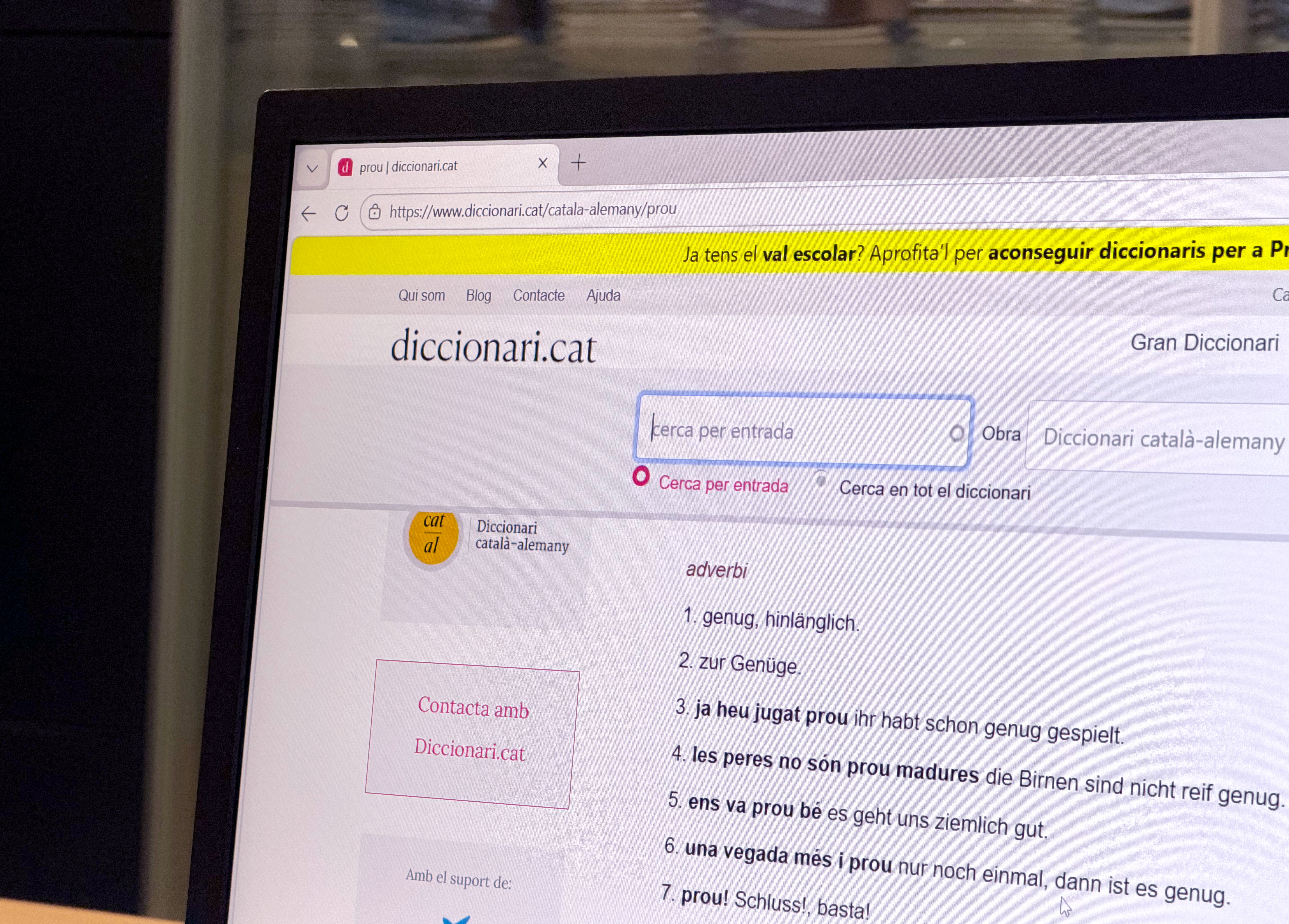 The search bar on Diccionari.cat